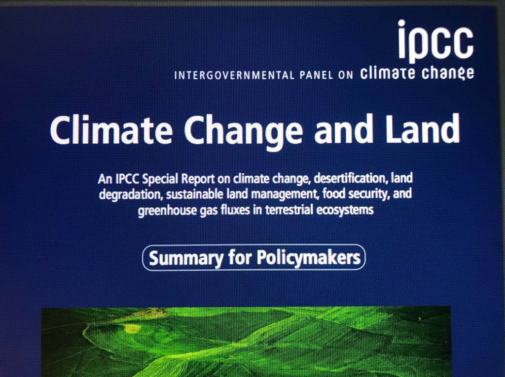 Denna bild har ett alt-attribut som är tomt. Dess filnamn är img_2637-e1607025231551.jpg