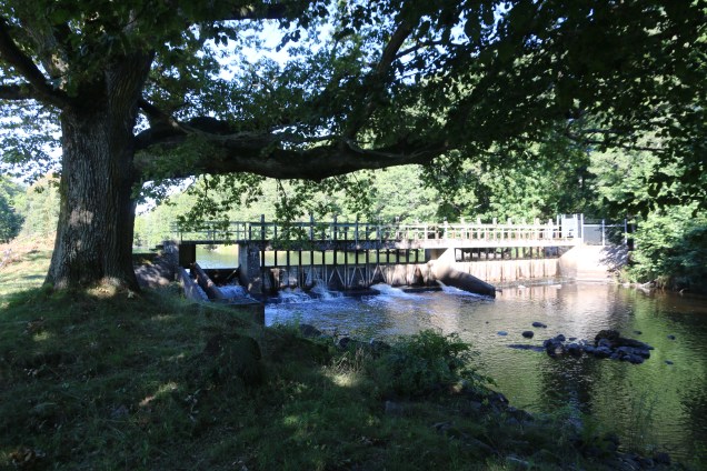Den här dammen vill länsstyrelsen i Kalmar riva. Trots att den har tillstånd och dessutom är anläggningen försedd med en laxtrappa. Havsvandrande fisk finns uppströms. Foto: Göran Åhrén